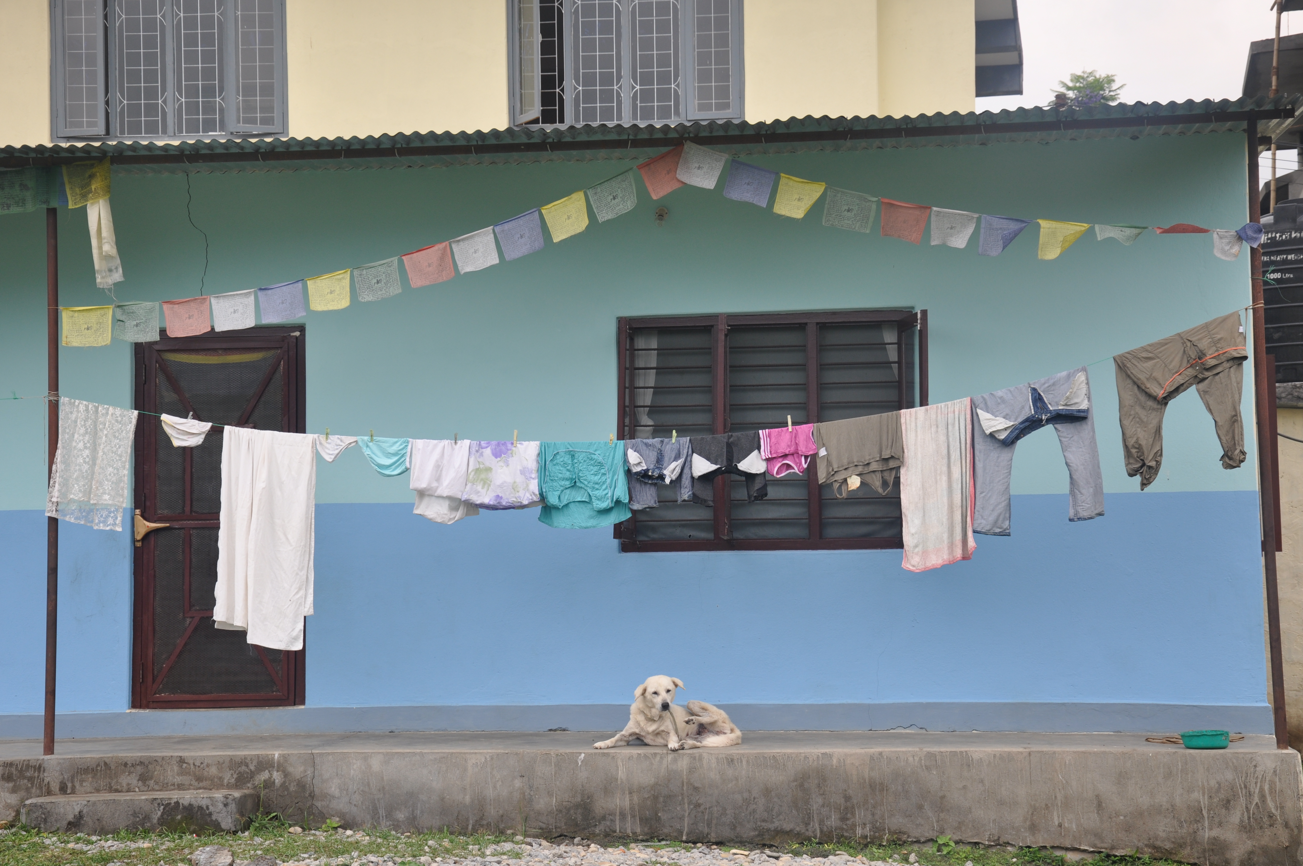 DSC_0145.JPG